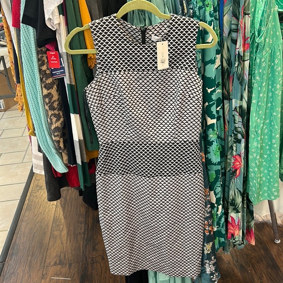 Calvin Klein Dresses & Skirts - Nwt Calvin Klein Size 2 Fit And Flare